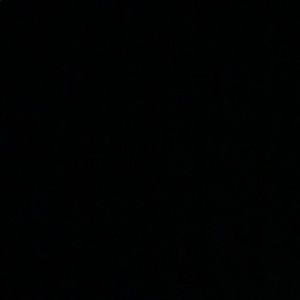 Meet your Posher, Sydnee